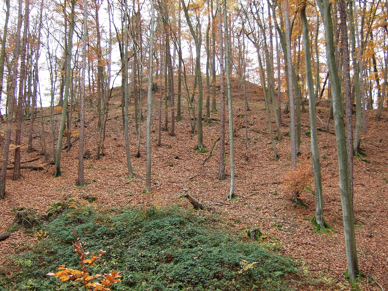 Der Hügel auf dem die Randenburg bei Alzenau stand