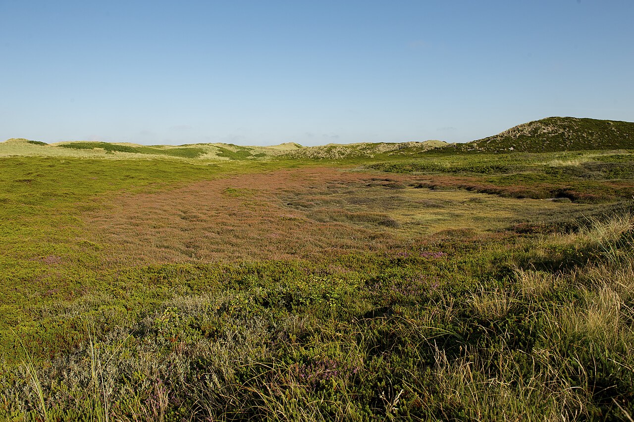 Foto von Rantumer Dünen/Sylt