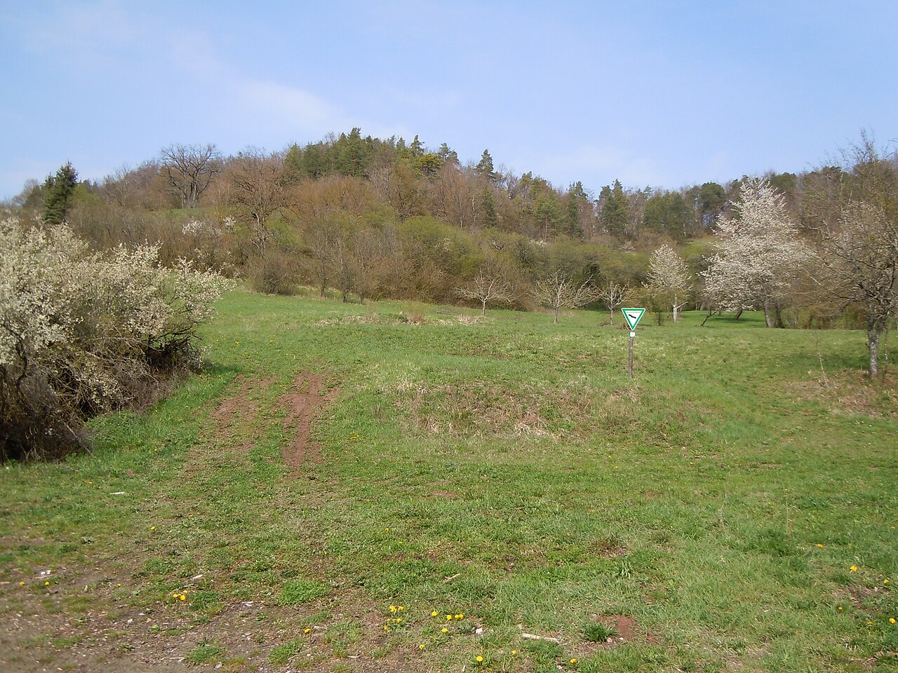Der Südhang des Naturschutzgebiets "Rappenberg" (Schutzgebiets-Nr
