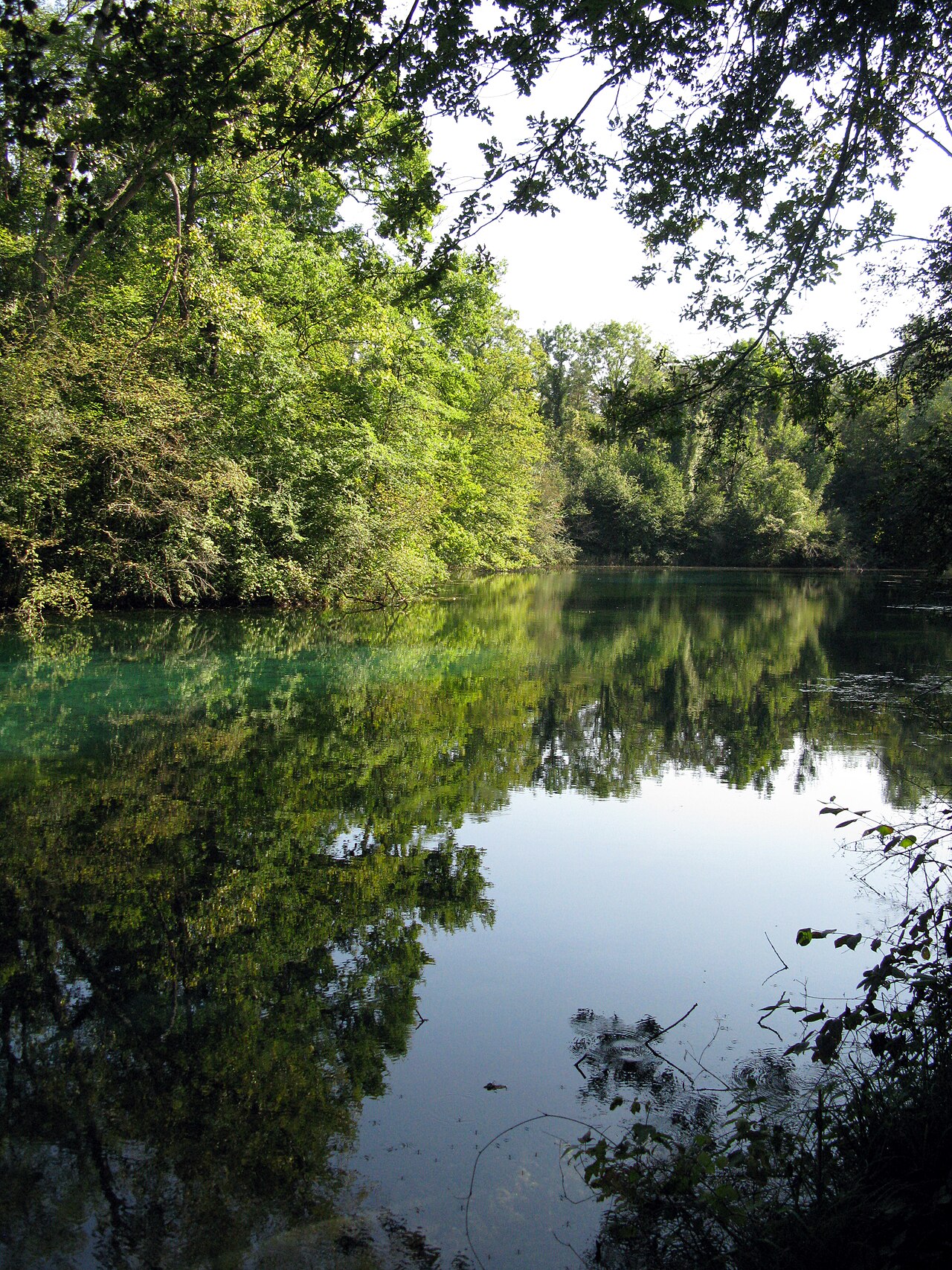 Naturschutzgebiet Rappennestgießen bei Burkheim am Kaiserstuhl