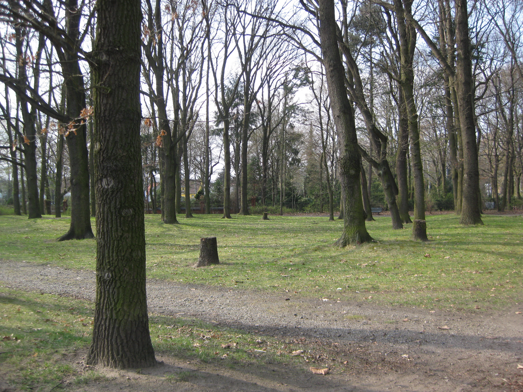 The public park Rathauspark