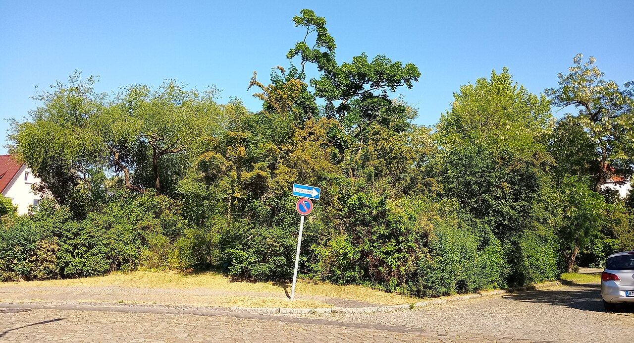 Foto von Rauhe Berge