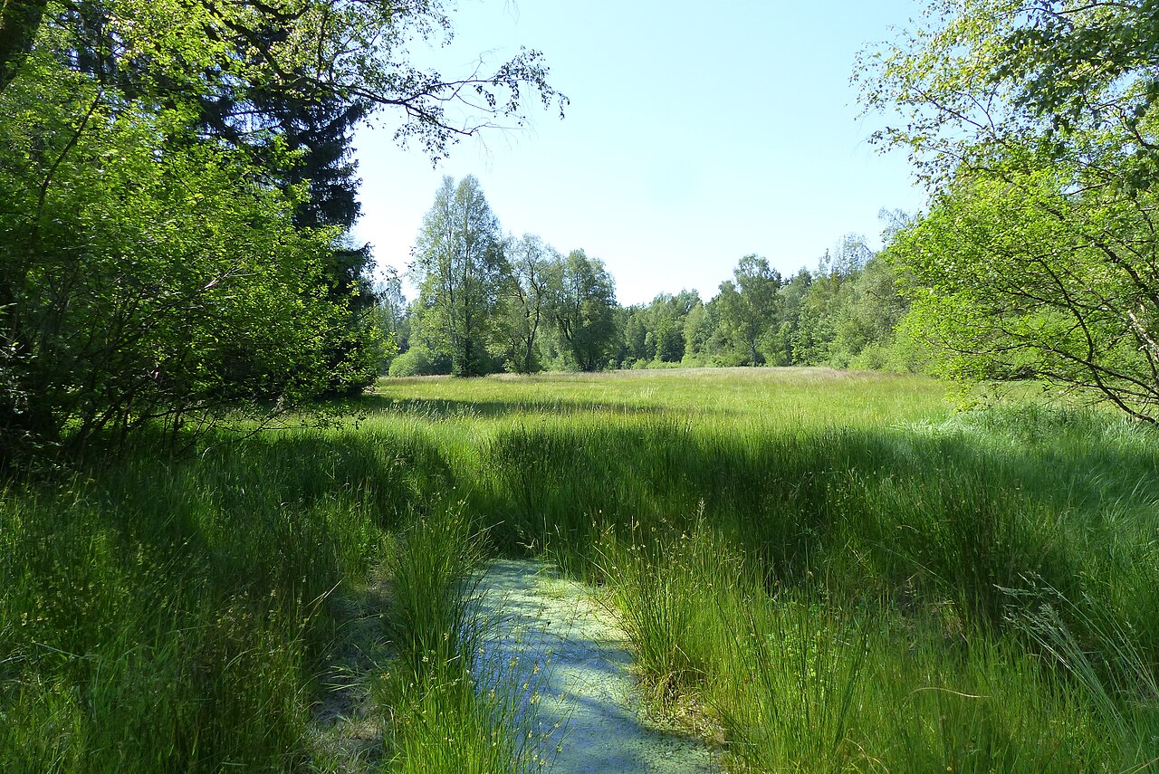 Naturschutzgebiet Rauhe Wiese im Ostalbkreis (Baden-Würrttemberg)