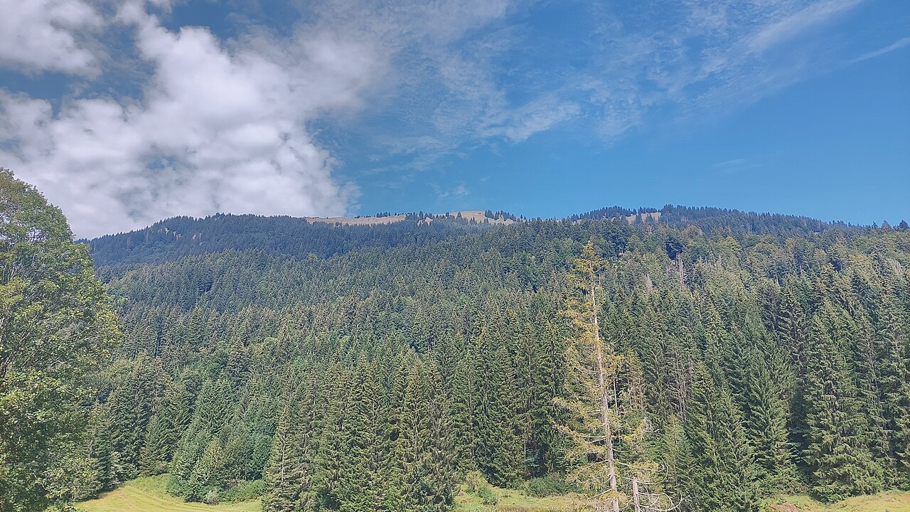 Rauhenberg in the Allgäu Alps, view from southeast