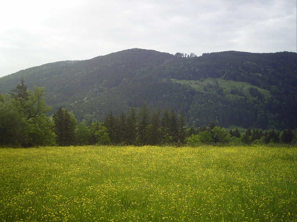Rechelkopf