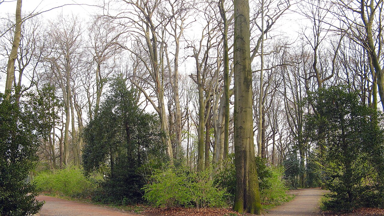 Bochum, Rechener Park