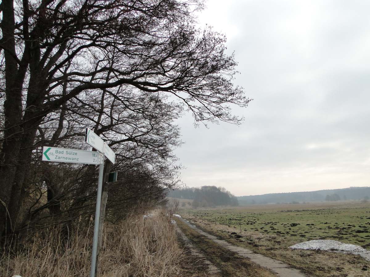 Blick in das Naturschutzgebiet Recknitzwiesen, Mecklenburg-Vorpommern