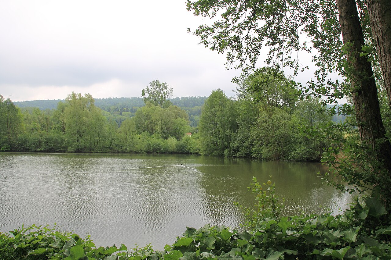 Naturschutzgebiet Rehfeldsee in Schorndorf