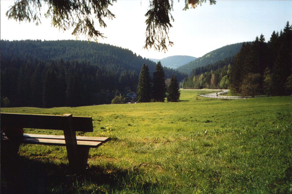 Motiv aus dem Erzgebirge bei Oberwildenthal