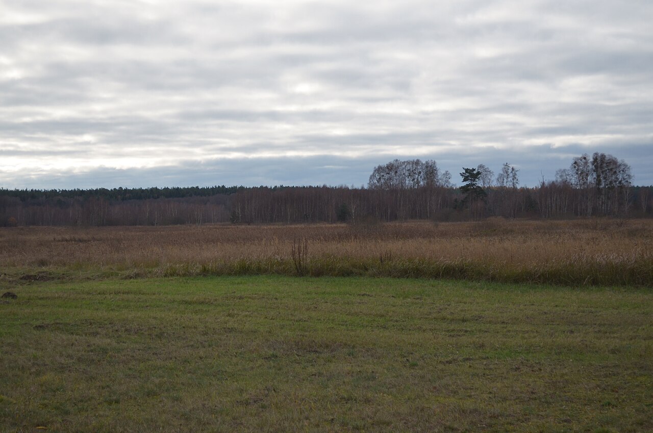 Naturschutzgebiet Reiersdorf von Reiersdorf aus gesehen, Uckermark, Brandenburg Camera location 53° 02′ 55