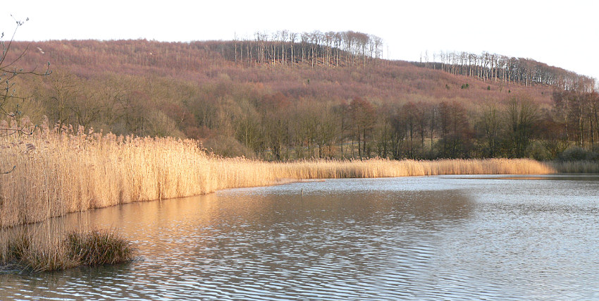 Großer Teich im Reitlingstal in Erkerode