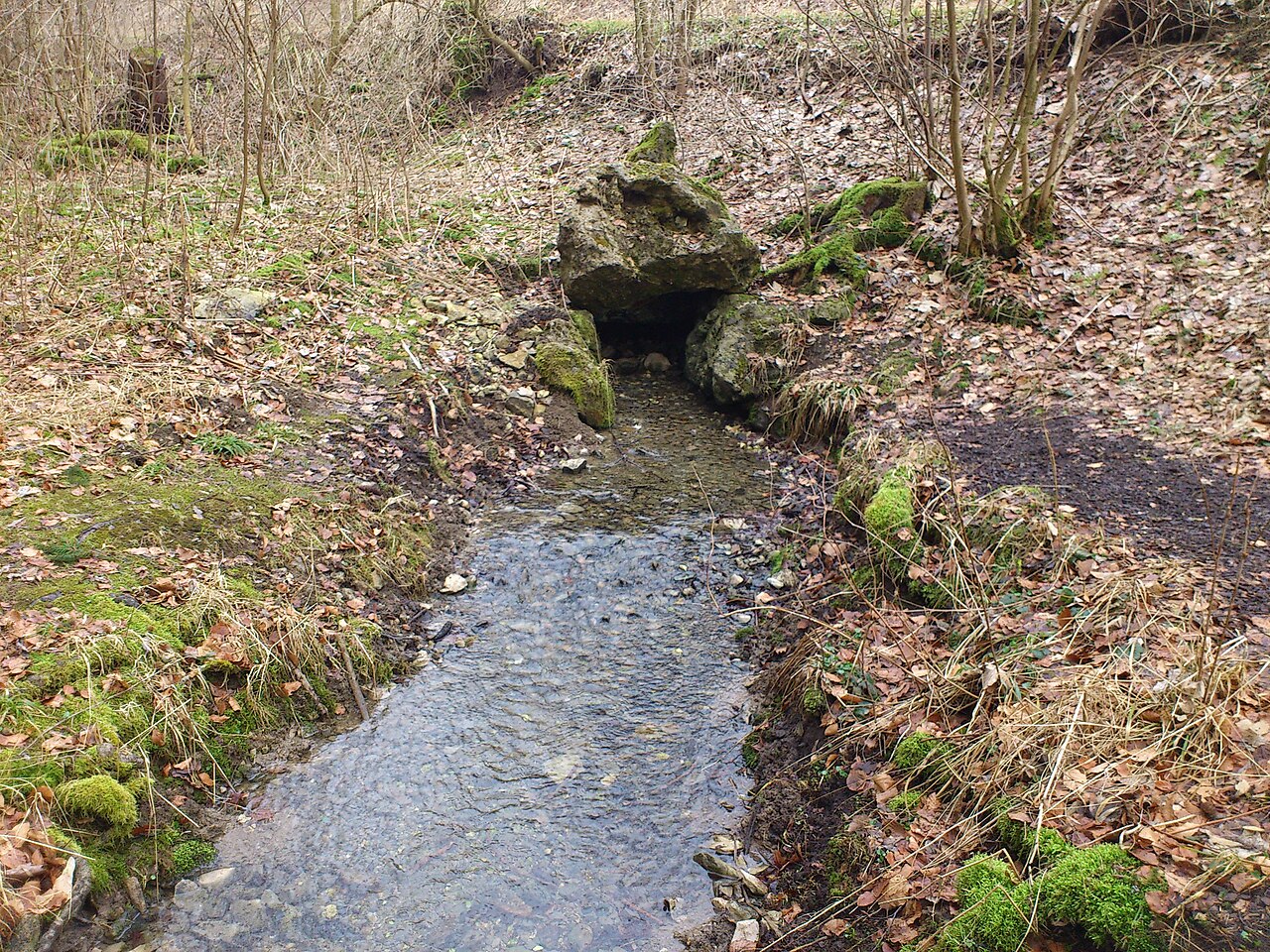 Der Remsursprung