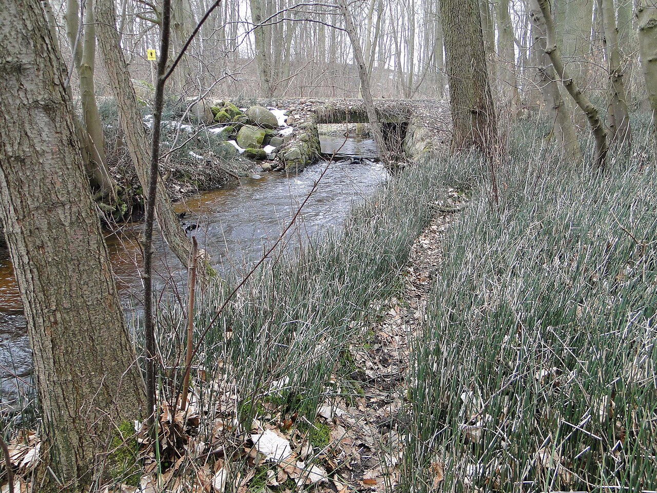 Blick in das Naturschutzgebiet Reppeliner Bachtal, Mecklenburg-Vorpommern