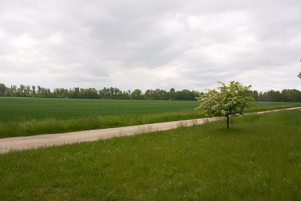 Landschaft um Restloch Zechau, Naturschutzgebiet ist abgesperrt!