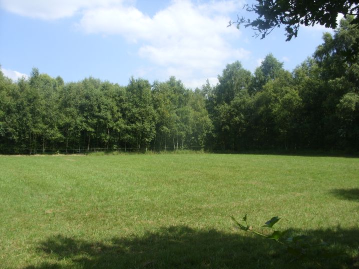 Naturschutzgebiet „Restmoor Dreesberg“
