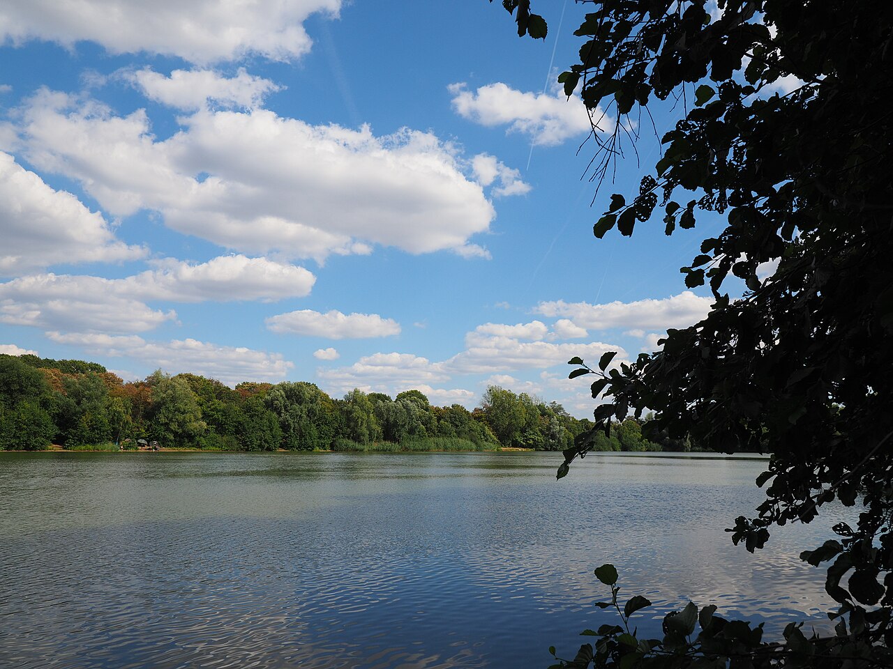Reuschenberger See in Neuss