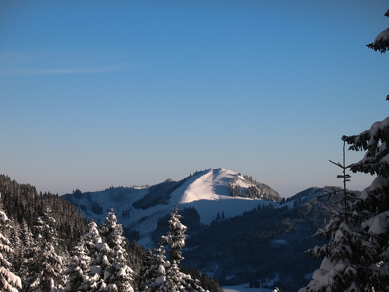 Blick vom Wertacher Hörnle auf die Reuterwanne (1542 m)