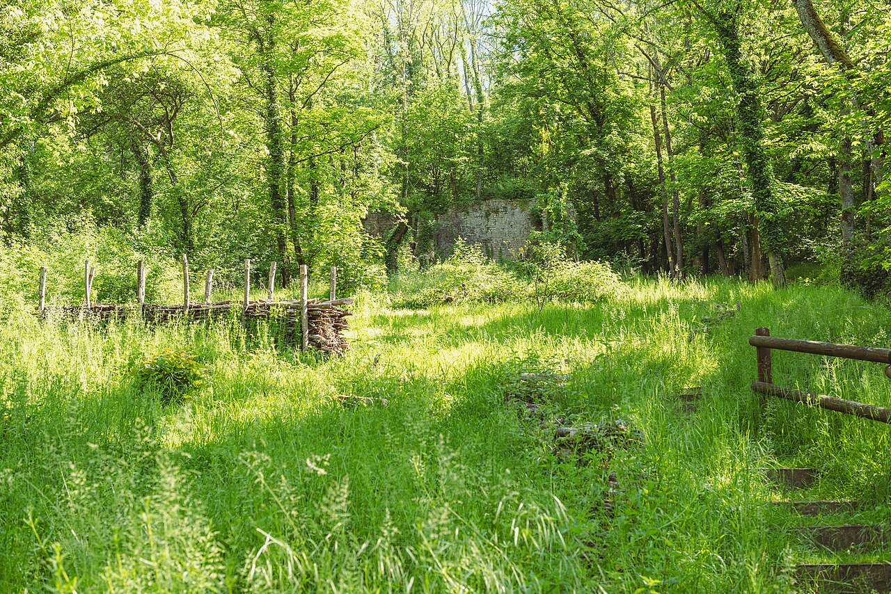View up to ruins in the Rexroth-Park