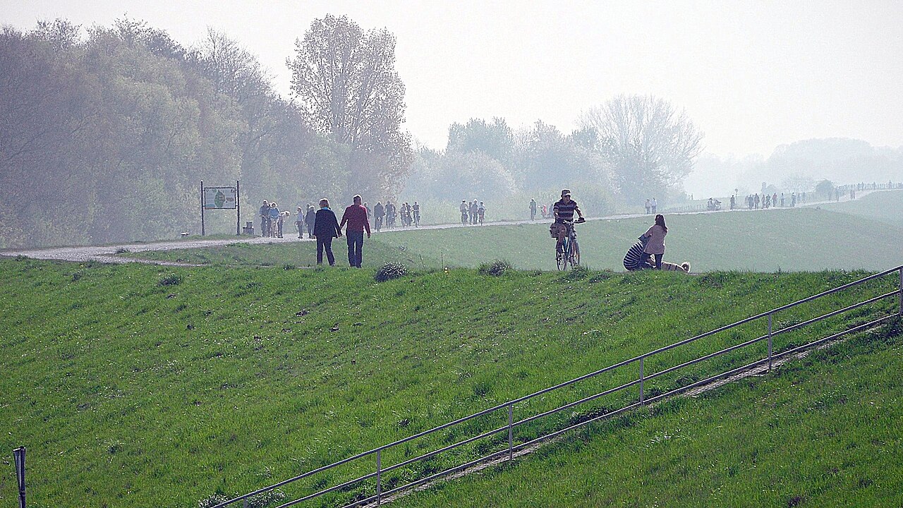 Dinslaken/Duisburg-Walsum: Rheindeich im Bereich Rheinaue Dinslaken-Walsum, südlich der Emschermündung, von Norden