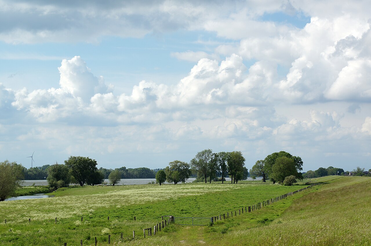 Foto von Rheinvorland zwischen Mehrum und Emmelsum