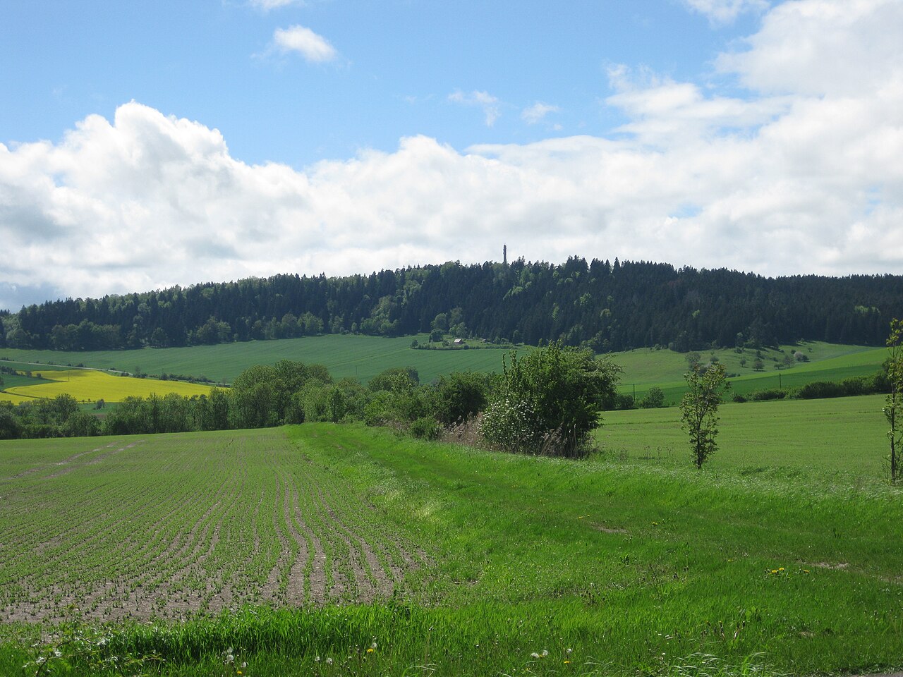 Riechheimer Berg von Osten gesehen