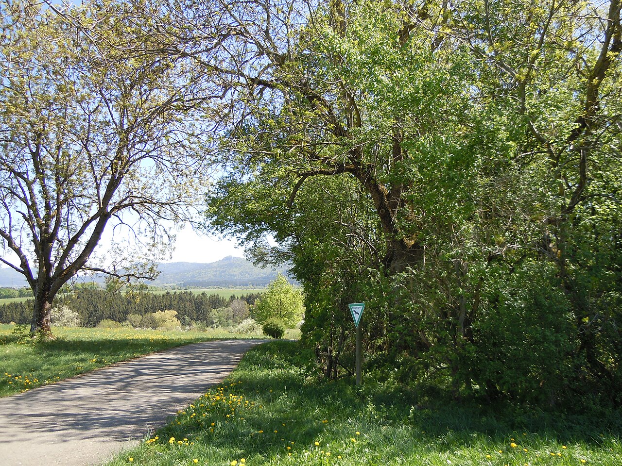 Naturschutzgebiet Riedbachtal (Schutzgebiets-Nr