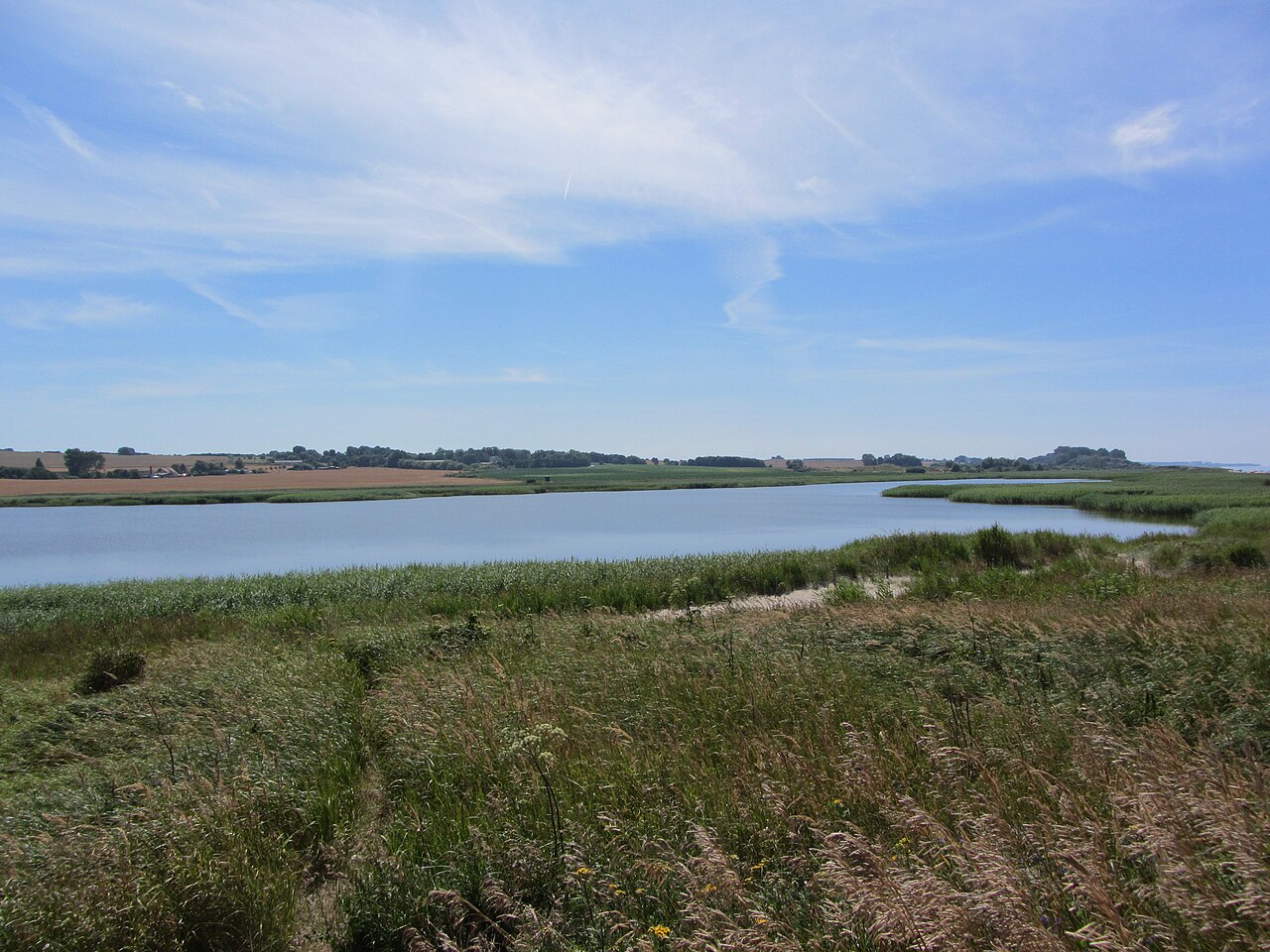 Foto von Riedensee