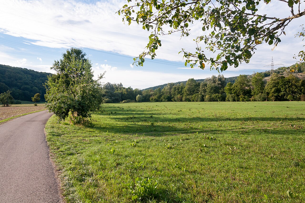 Naturschutzgebiet Riedhölzle und Jagstaue im Jagsttal bei Mulfingen