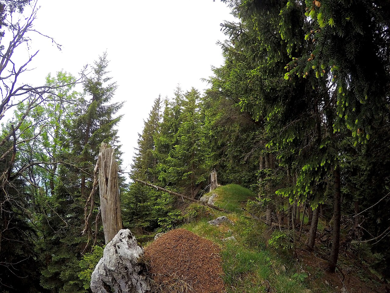 Riedereck, Bavaria
