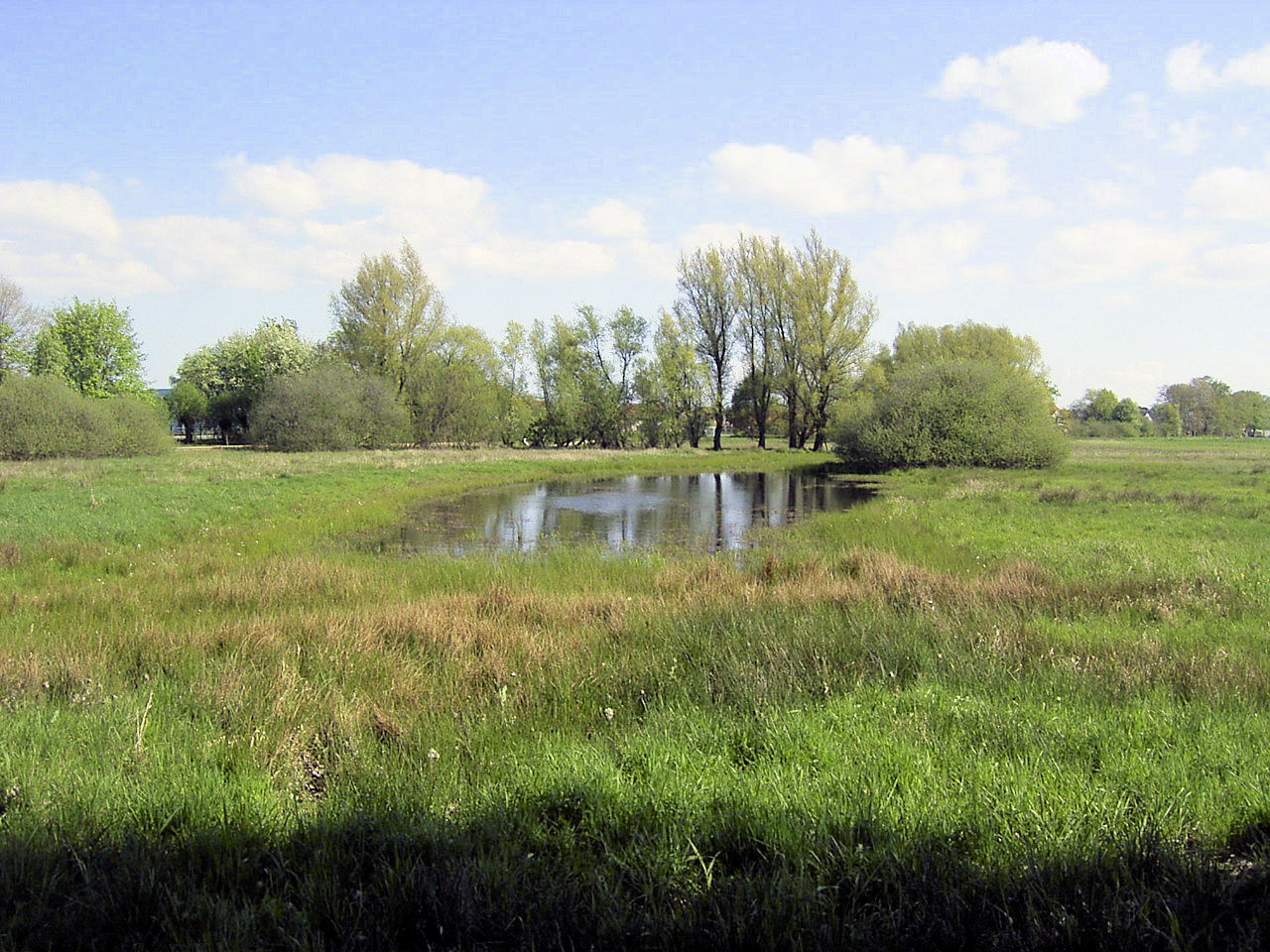 Emsauen Rietberg
