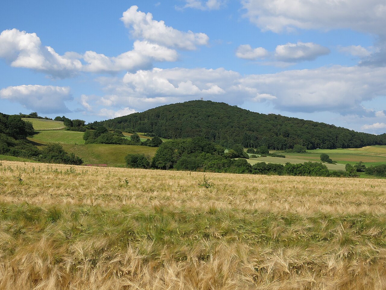 The Rimberg seen from southwest