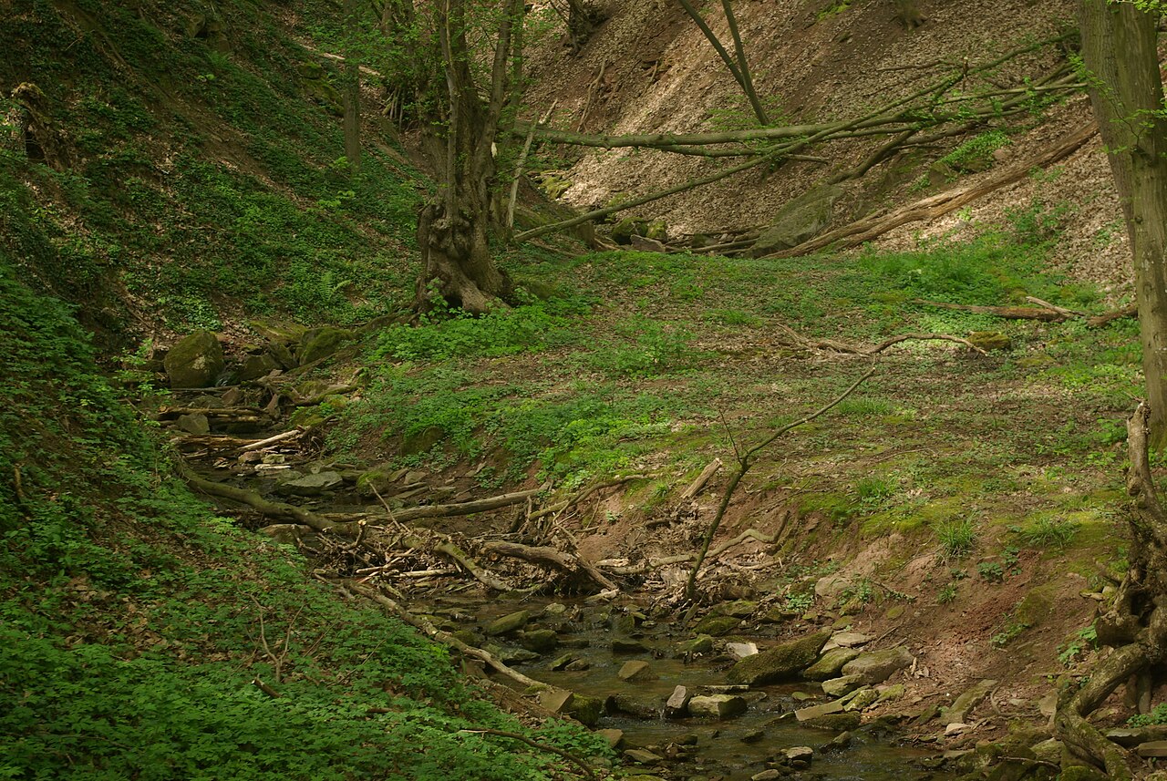 ND Ringelbachschlucht