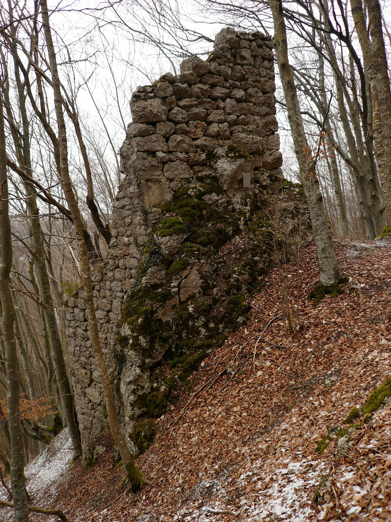 Remains of Castle Ringelstein near Burladingen