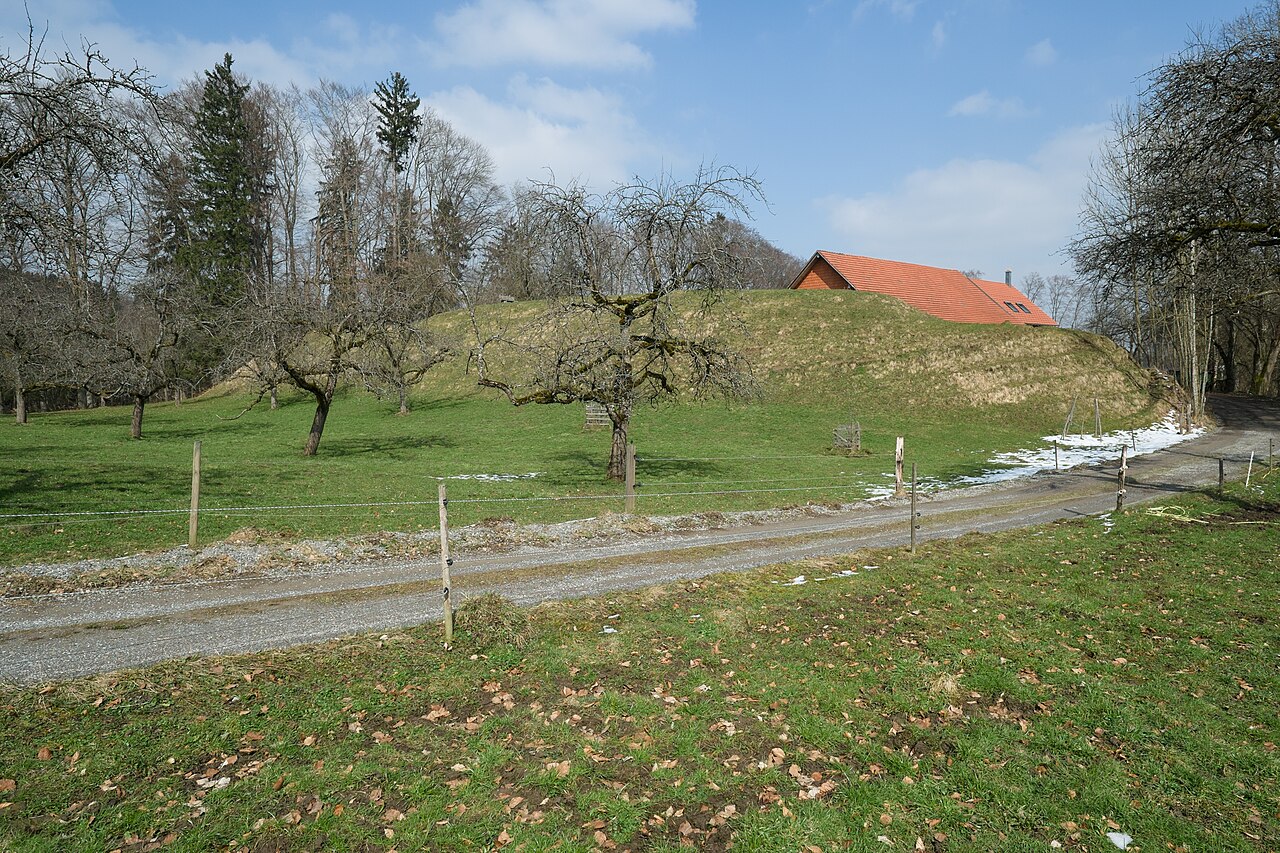 Earthworks near the Schmuckerhof , Ringgenburg, Ravensburg-Schmalegg, county Ravensburg, Baden Wurttemberg, Germany