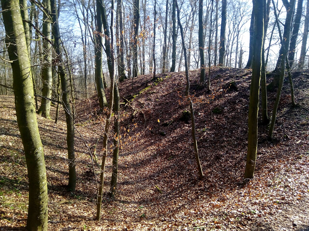 Ringschanze Aschhausen Zargenbuckel