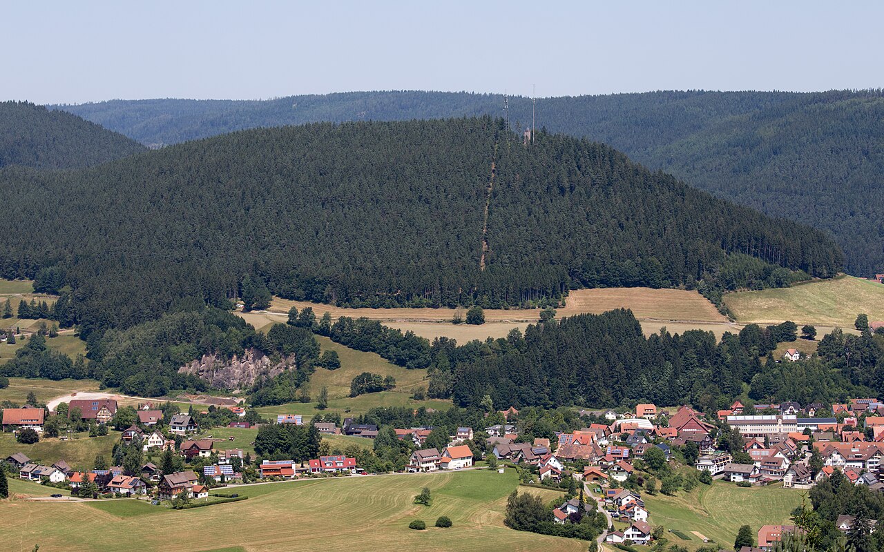Blick vom Stöckerkopf auf den Rinkenkopf bei Baiersbronn im Schwarzwald