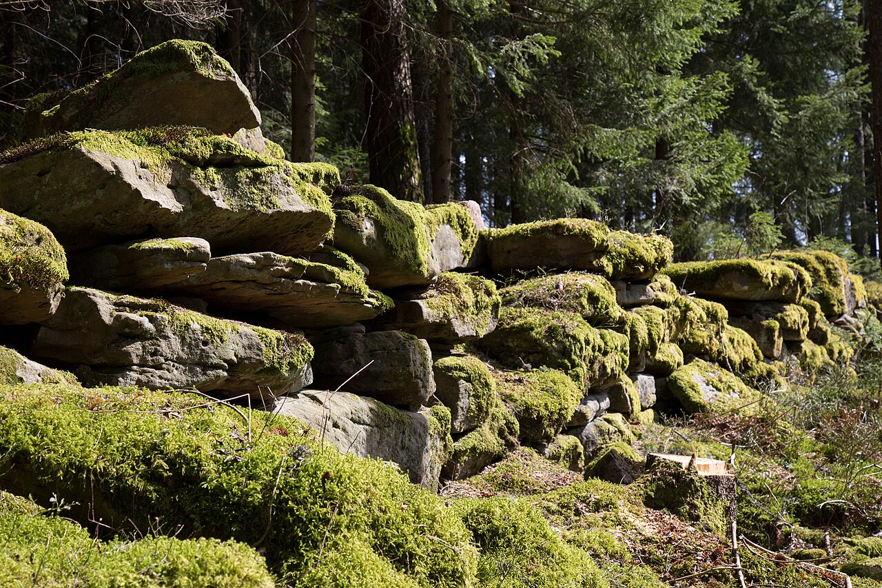 Rinkenmauer am Rinkenkopf bei Baiersbronn im Nordschwarzwald