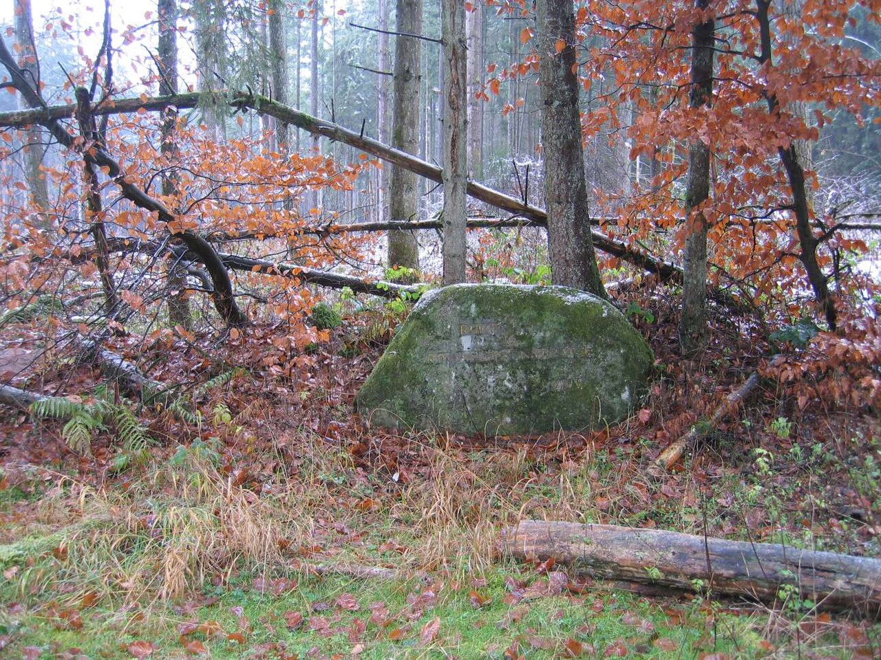 Ritterstein Nummer 192, Ruine Roesselsbrunner Hof