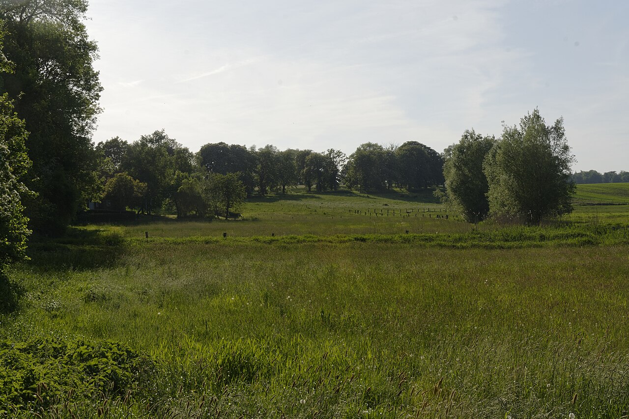 NSG Ritzerauer Hofsee und Duvenseebachniederung