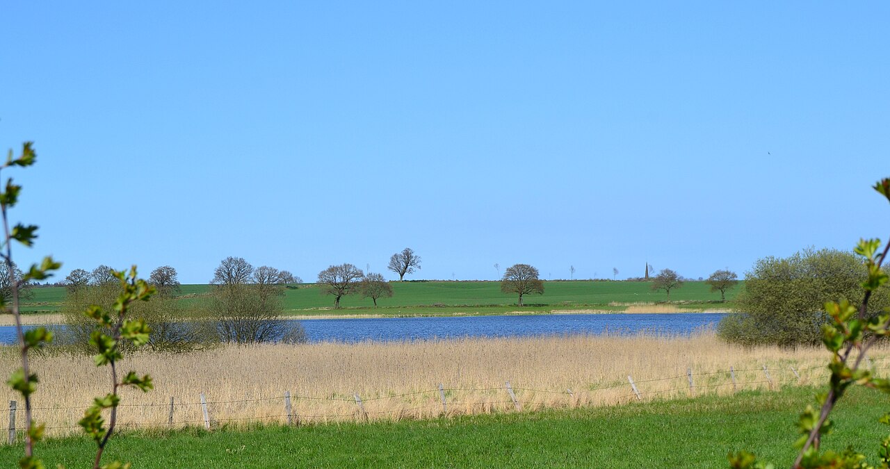 Rixdorfer Teich von SW im NSG Rixdorfer Teich und Umgebung, Gemeinde Lebrade, Kreis Plön