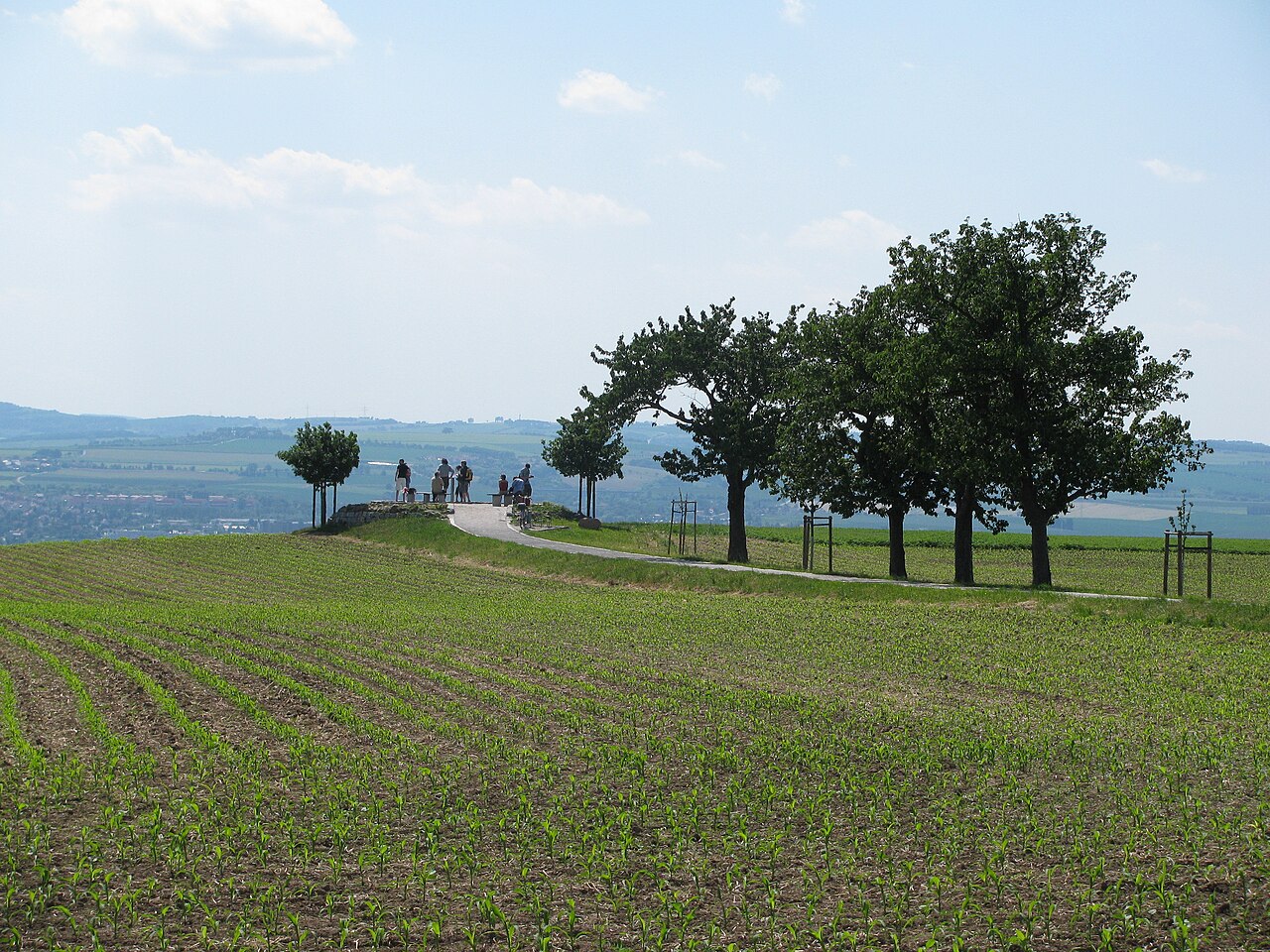 Aussichtspunkt Sachsens Hiefel in Rockau, Ortsteil von Dresden