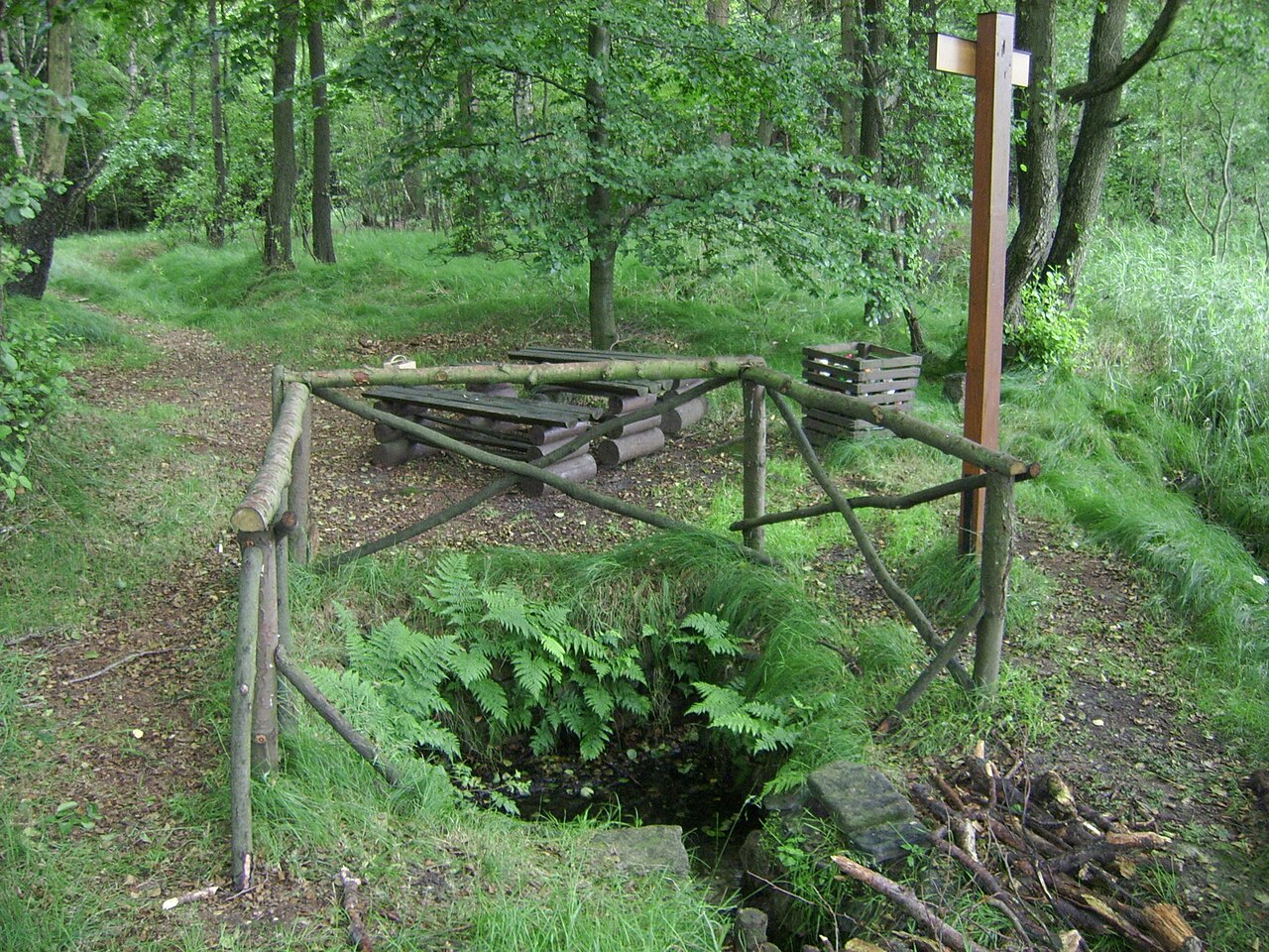 Röderqelle in der nähe von Ohor/röderbrunn in Sachsen