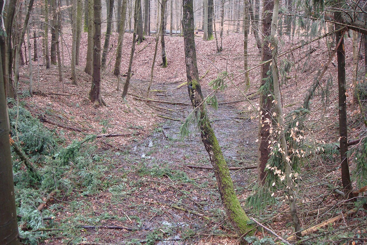Das Bild zeigt den Wassergraben (Mitte) sowie die Burginsel (links) und den umlaufenden Wall (rechts)