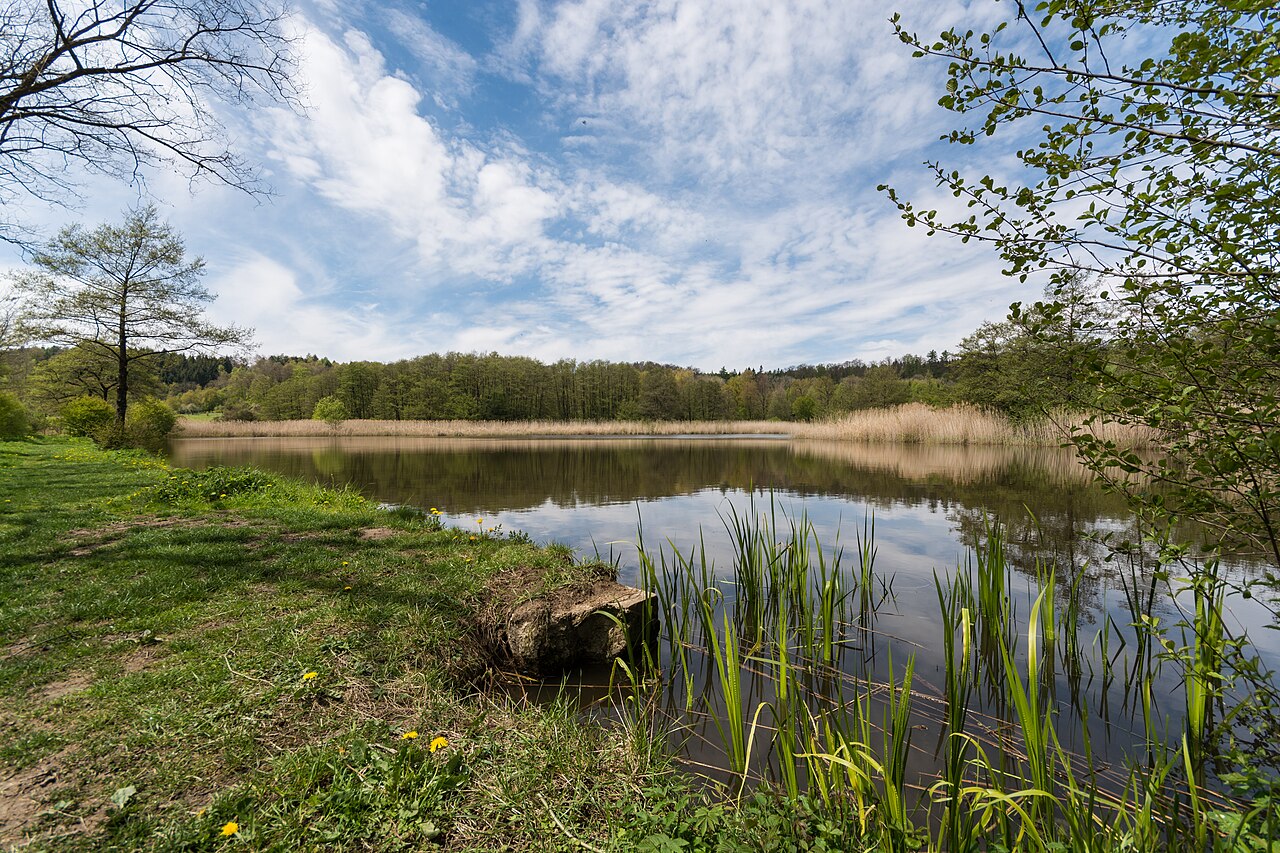 Rößlesmahdsee bei Waldenburg (Naturschutzgebiet Rößlesmahdsee mit Pfaffenklinge, Hohenlohekreis, Schutzgebiets-Nr