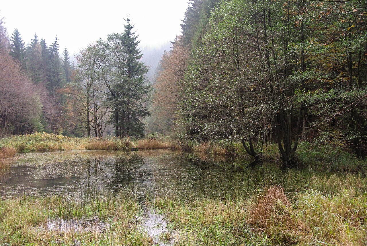 Nature reserve "Röthengrund" close to Sonneberg, Thuringia (Germany)