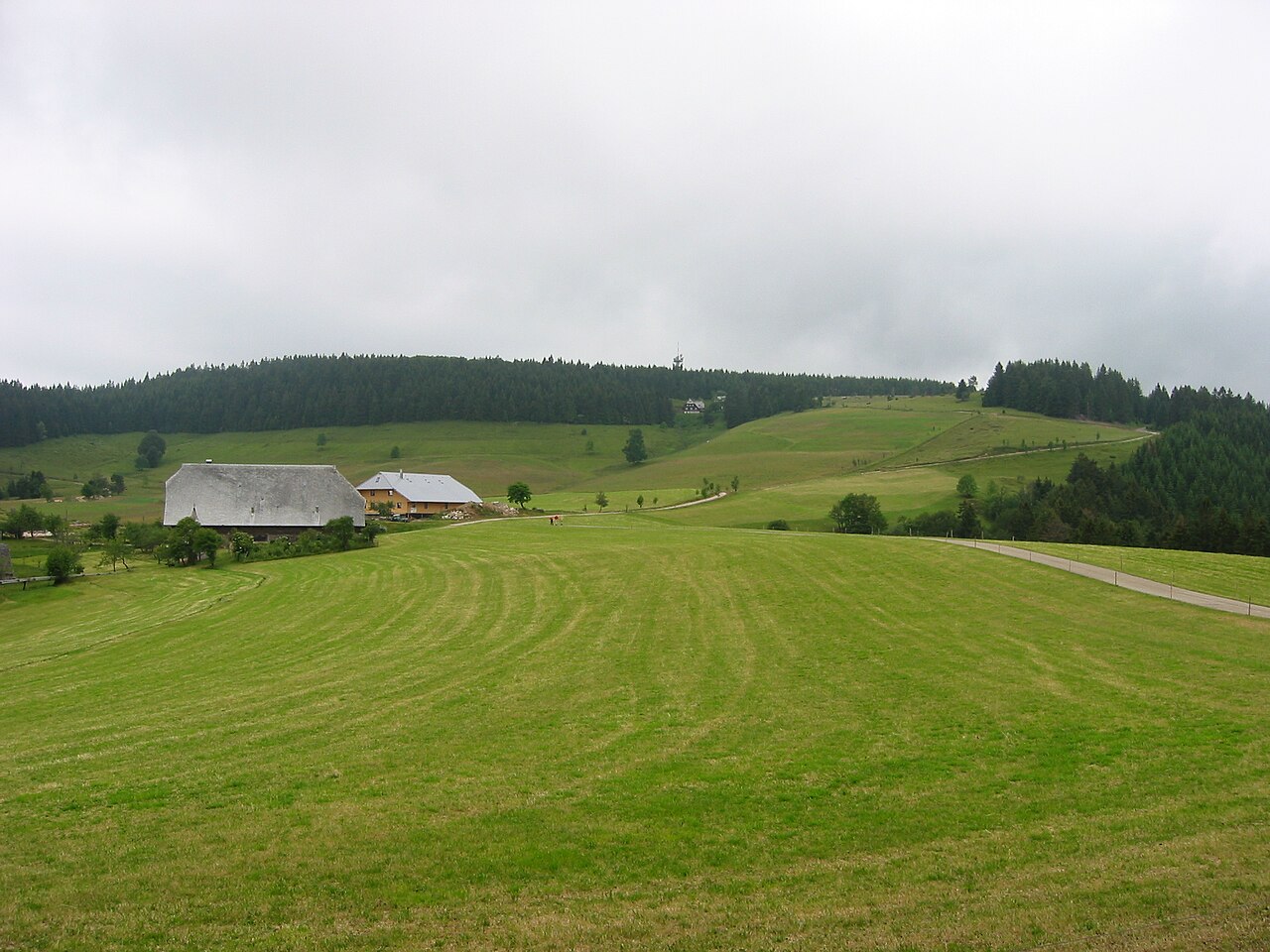 Rohrhardsberg, A mountain in the Black Forest, Germany