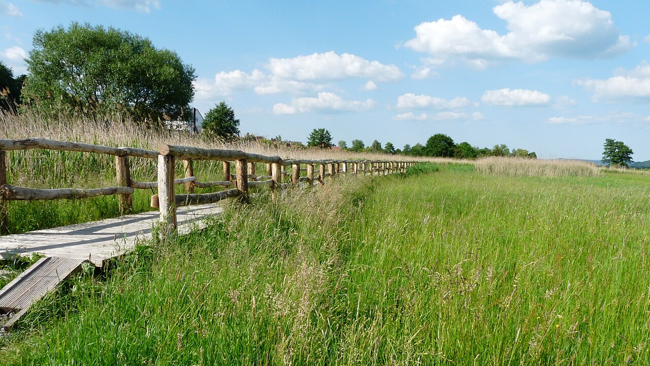 Naturschutzgebiet Rohrlache Heringen Hessen, Feuchtbiotop in der Werraaue, Landkreis Hersfeld-Rotenburg