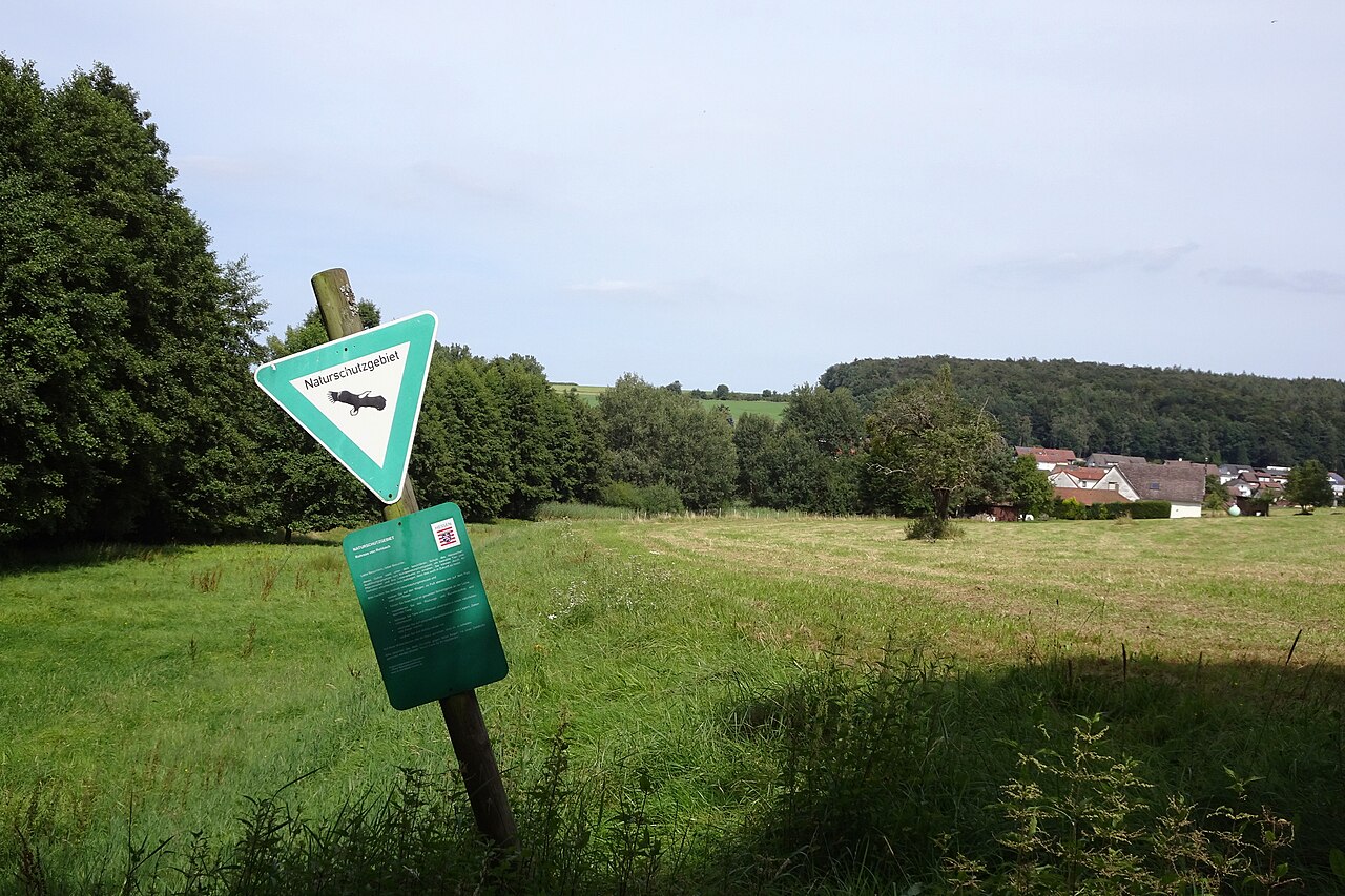 Nature reserve "Rohrsee von Rehbach" (Odenwaldkreis, Hesse, Germany)