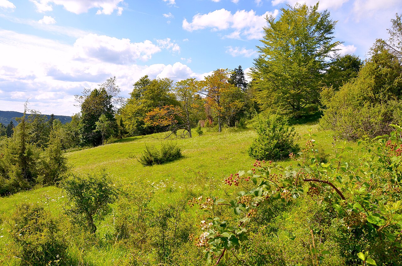 Naturschutzgebiet Roschbach bei Albstadt-Pfeffingen (Zollernalbkreis)