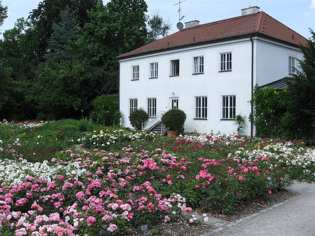 Rosengarten in Untergiesing, München